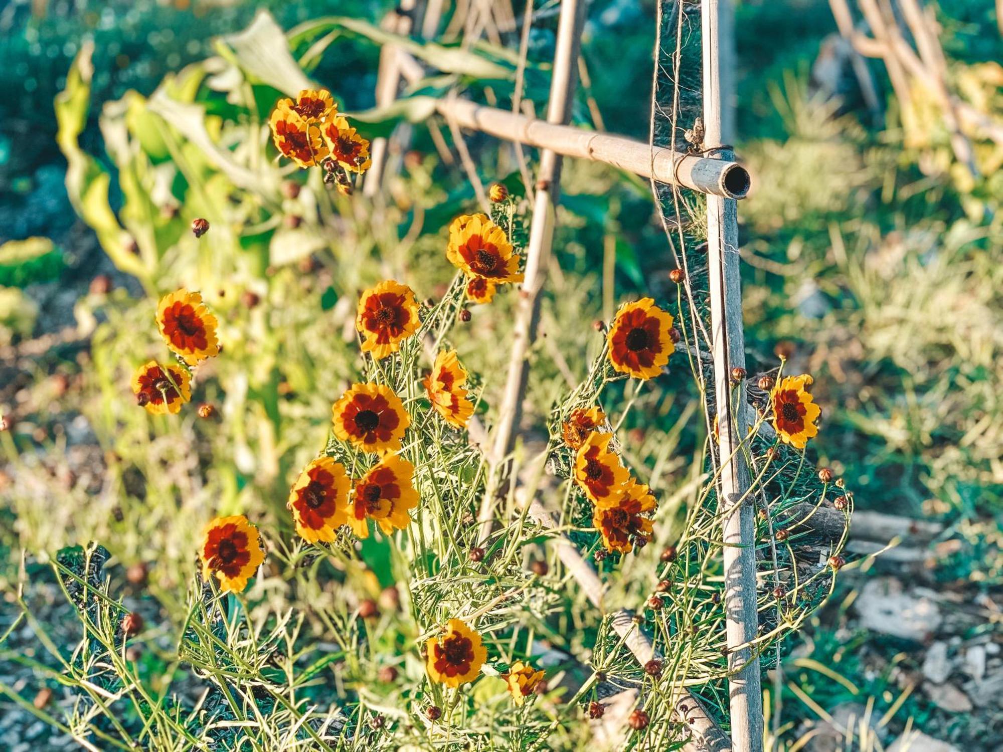 Stay At Pachamama Community Alcácer do Sal Стая снимка